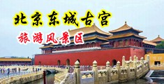 少妇被舔的好舒服快点搞艹插她飞起来了中国北京-东城古宫旅游风景区